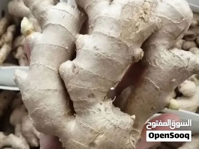 زنجبیل اصلی سینی و تایلندی
