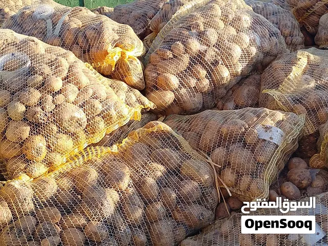 بطاطا للغنم نضيفه