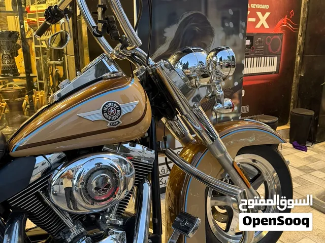 Harley-Davidson Fat Boy دراجة