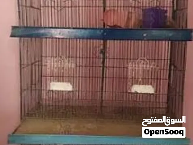 قفص طيور كبير سلاكه تصلح للعصافير والطيور الجارحه