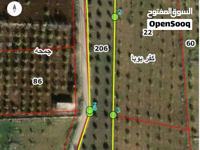 Farm Land for Sale in Irbid Kofor Youba
