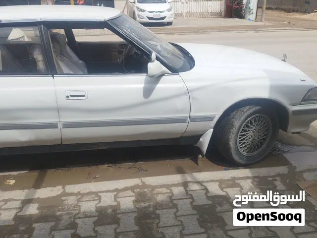 مارك كصيف رقم بصره ابو الخصيب