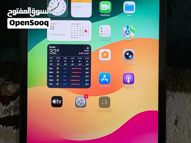iPad mini 5 (64GB) Cellular + Wi-Fi – Fully Working