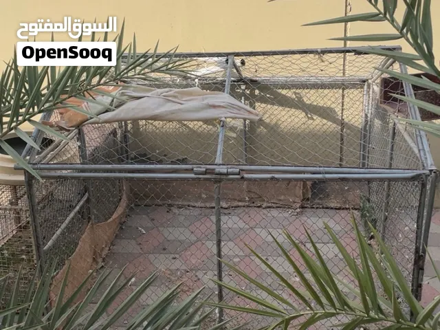 اقفاص امورهن جيد