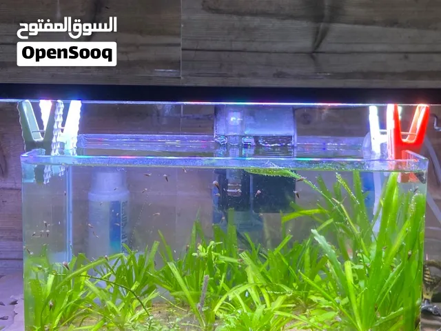حوض أكواريوم مزروع للبيع مع جميع المستلزمات
