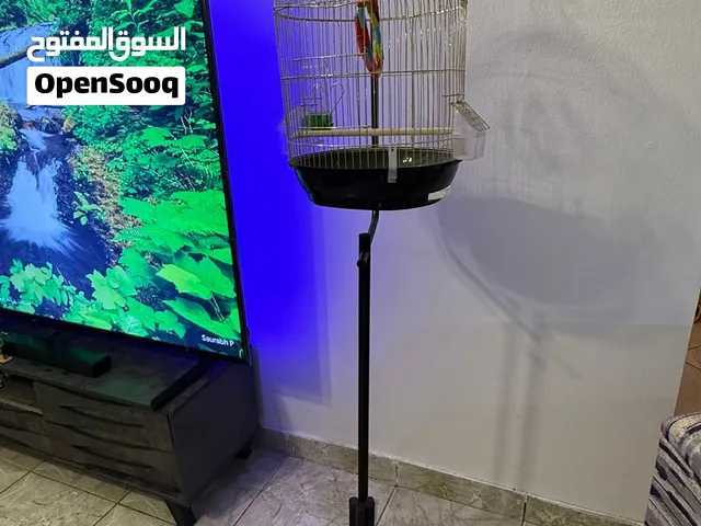 قفص عصافير