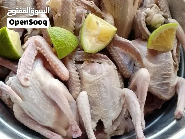 متوفر حمام بلدي مذبوح ومنظف ذبح طازج ويومي يوجد خدمة توصيل الجوز 3 دنانير