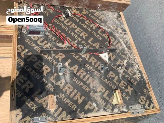حضانه دجاج