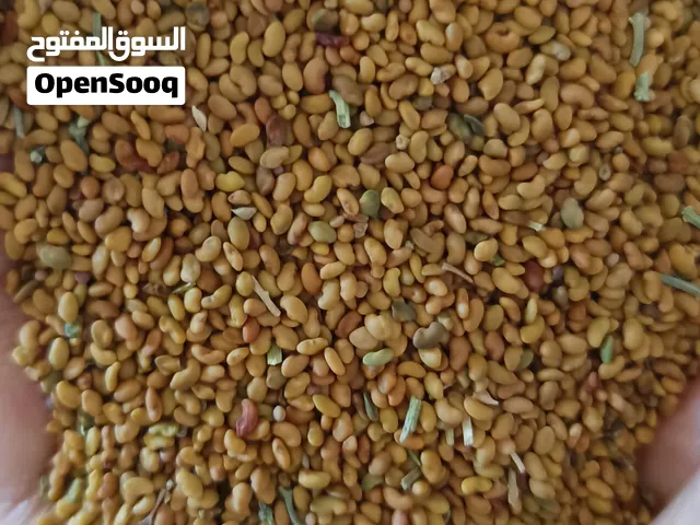 بذر قت عماني