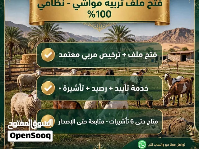فتح ملف تربيه مواشي ترخيص مربي معتمد متاح حتى 6تأشيرات فتح ملف تربيه مواشي