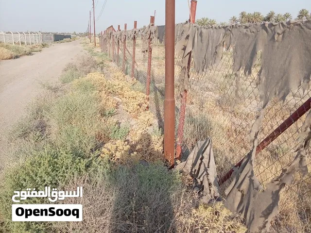 ارض صالحة للزراعة السكن و شاليهات وتحتوي على بيت150 متر وتحتوي على بير مياه وتحتوي ومتوفر كهرباء