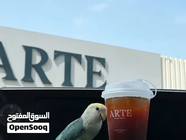 روز أليف ( الوصف)