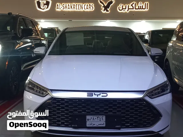 New BYD Other in Baghdad
