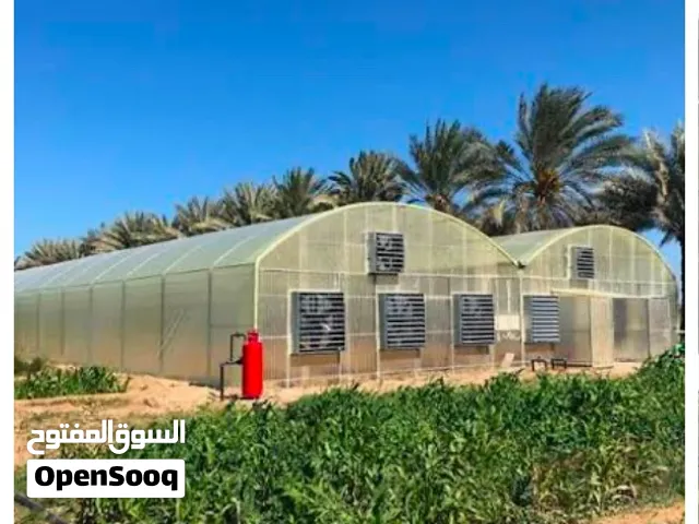 بيوت محمية للإيجار ( greenhouse (