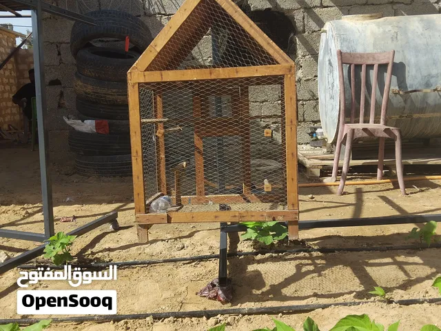 ستعمال جديد سباب البيع والشراء