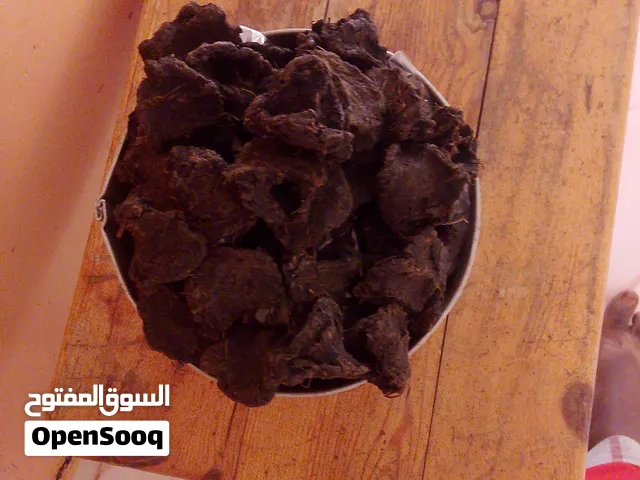 كوال اصلي للبيع مافي اي مقارنة مع اي نوع