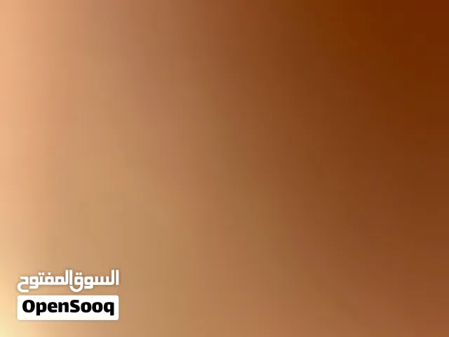 فرن إيطالي كبير مستعمل نظيف