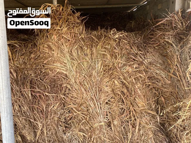 السلام عليكم اقرا لوصف