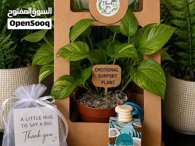 Thankyou plant gift