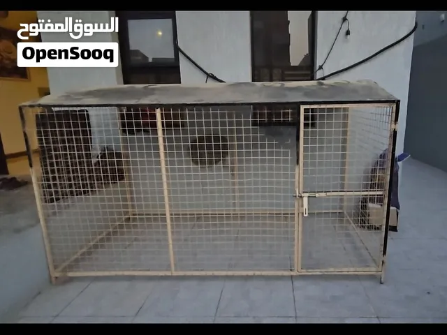 قفص ينفع حق الحيوانات أو الطيور