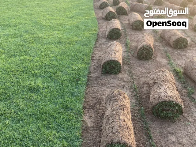 مسطحات خضراء للبيع داخل الامارات