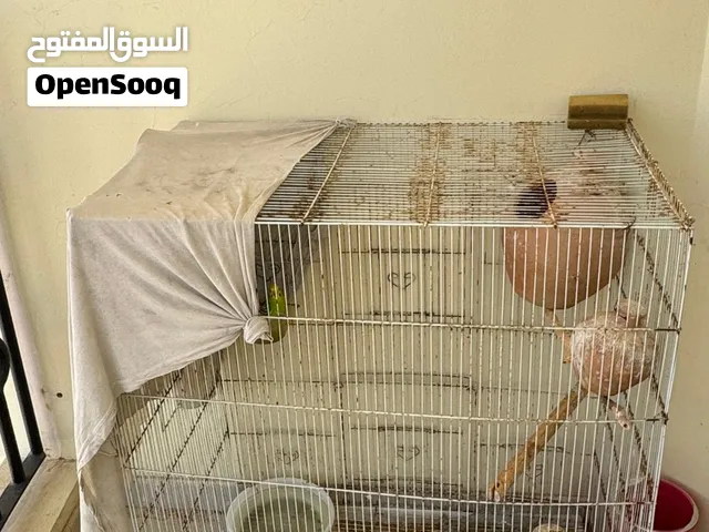 للبيع  بسعر ممتاز من دون الطيور