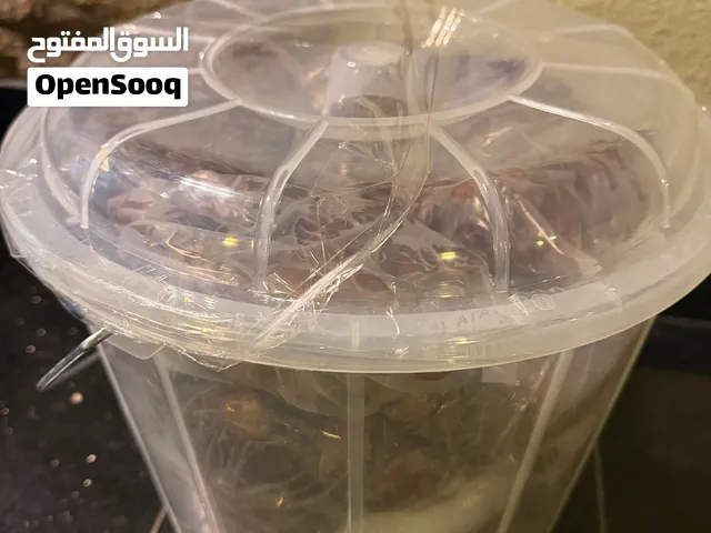 تمر خلاص جديد اغسطس 2026