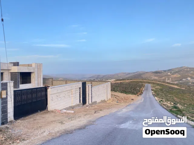 900 م اعلى جبال بيرين ام رمانه ولا يوجد منسوب