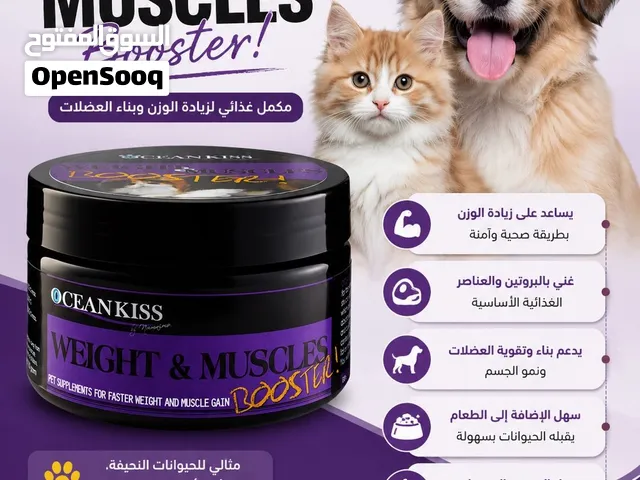 منتج تسمين قطط