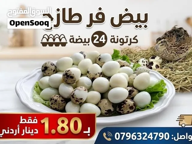 بيض فر جامبو مائده