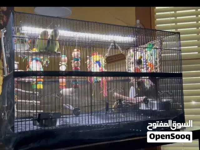 اضاءة طيور LED تحاكي ضوء الشمس الطبيعي