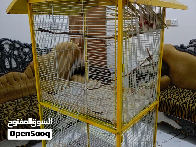 قفص حديد طابقين للطيور الزينة والببغاء