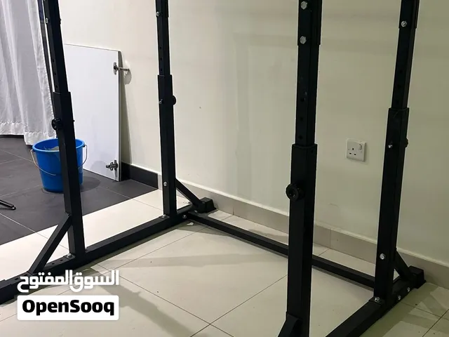 Adjustable Dip Station (AED 2400 on Amazon Selling for AED 1,200)
