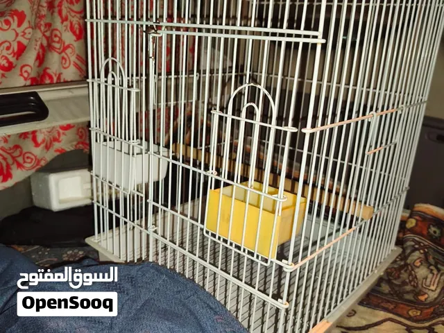 للبيع قفص يصلح لجميع الطيور