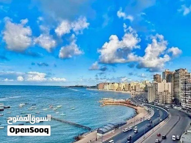 شقه للايجار اليومي والاسبوعي ميامي علي البحر مباشر