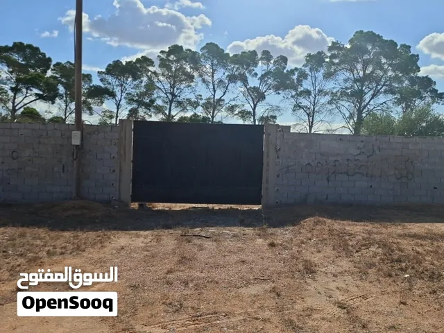 قطعة أرض للبيع في الدافنية