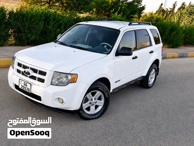 Used Ford Escape in Amman