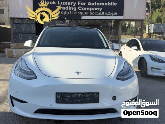 Tesla Model Y Standard Range 2021
