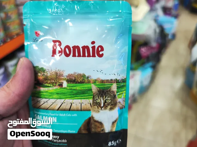 باوتشيز قطط بوني شركه الليدر