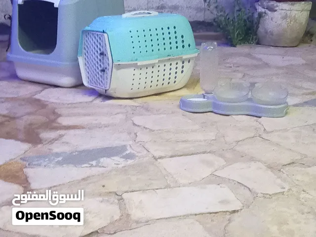 أغراض قطة للبيع