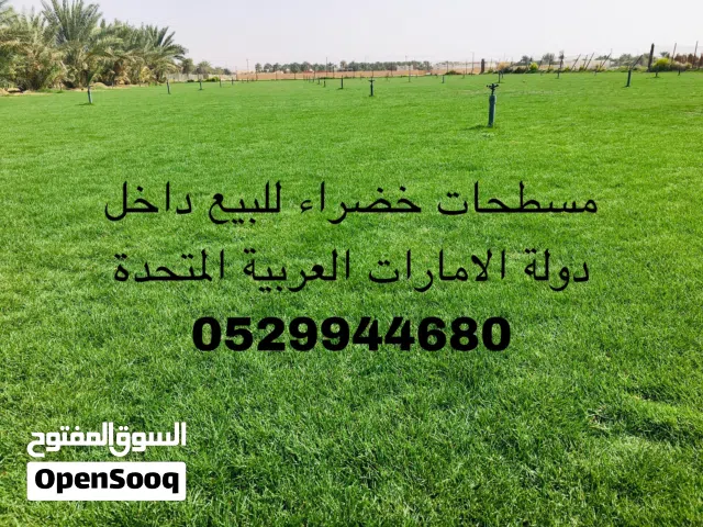 مسطحات خضراء للبيع داخل دولة الإمارات