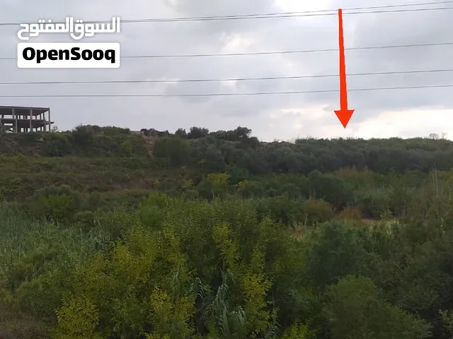 أرض للبيع سياحيه صناعية