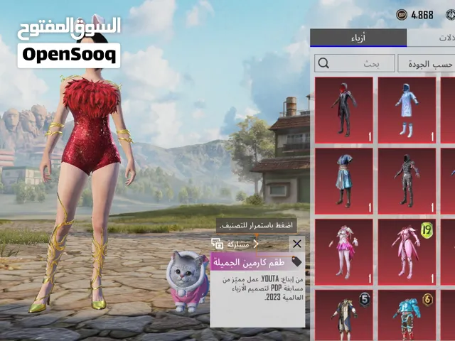 Pubg Accounts and Characters for Sale in Ramallah and Al-Bireh