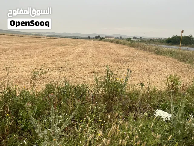 للبيع: أرض فلاحية مساحتها 5000 م2 – العلوين، برج العامري