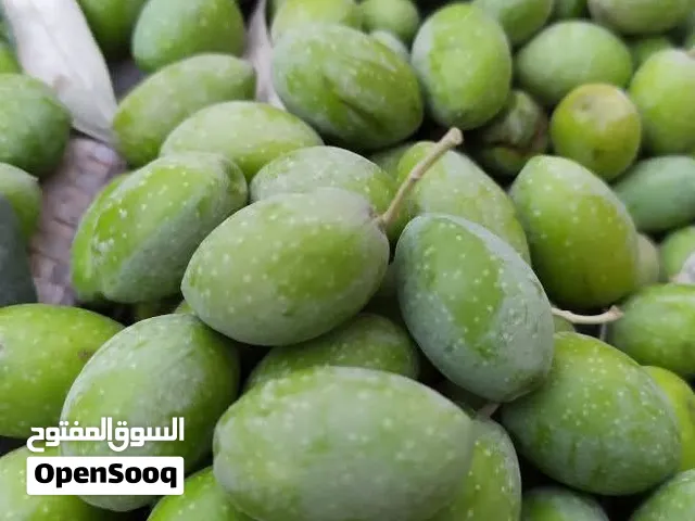 زيتون اخضر شغل كبس