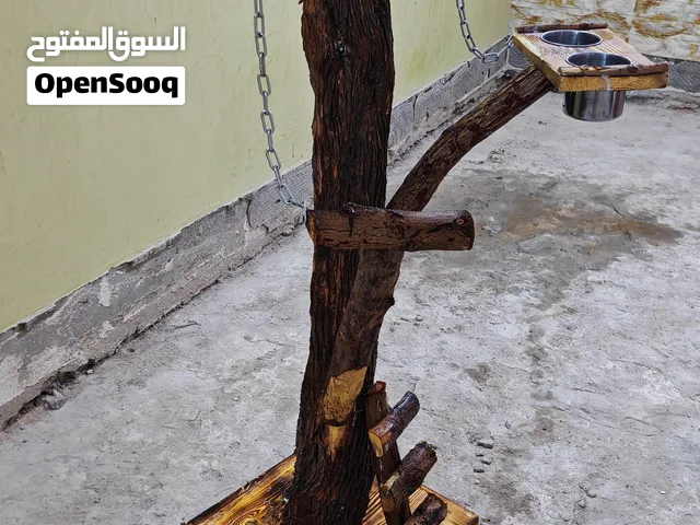 ستان خشبي لطيور الببغاء