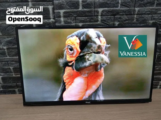 Télévision Marque Géant 32P Simple Avec Démo Intégré Qled Tv