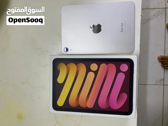 iPad mini 7