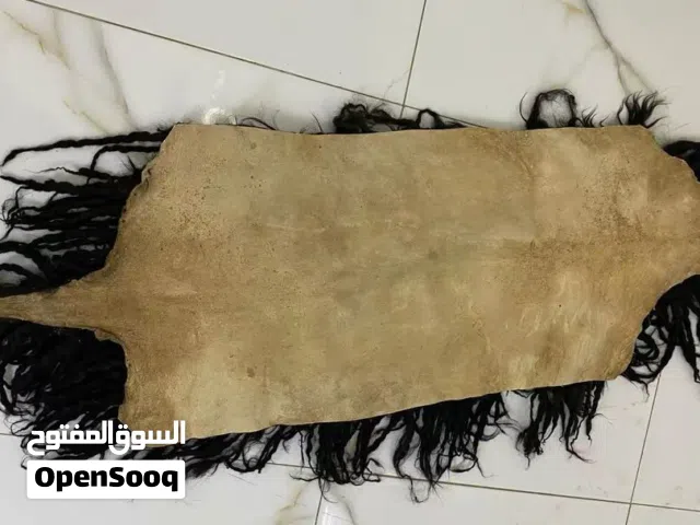يواعد جدد ومستخدمات للبيع