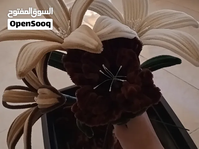 زهور مخمليه